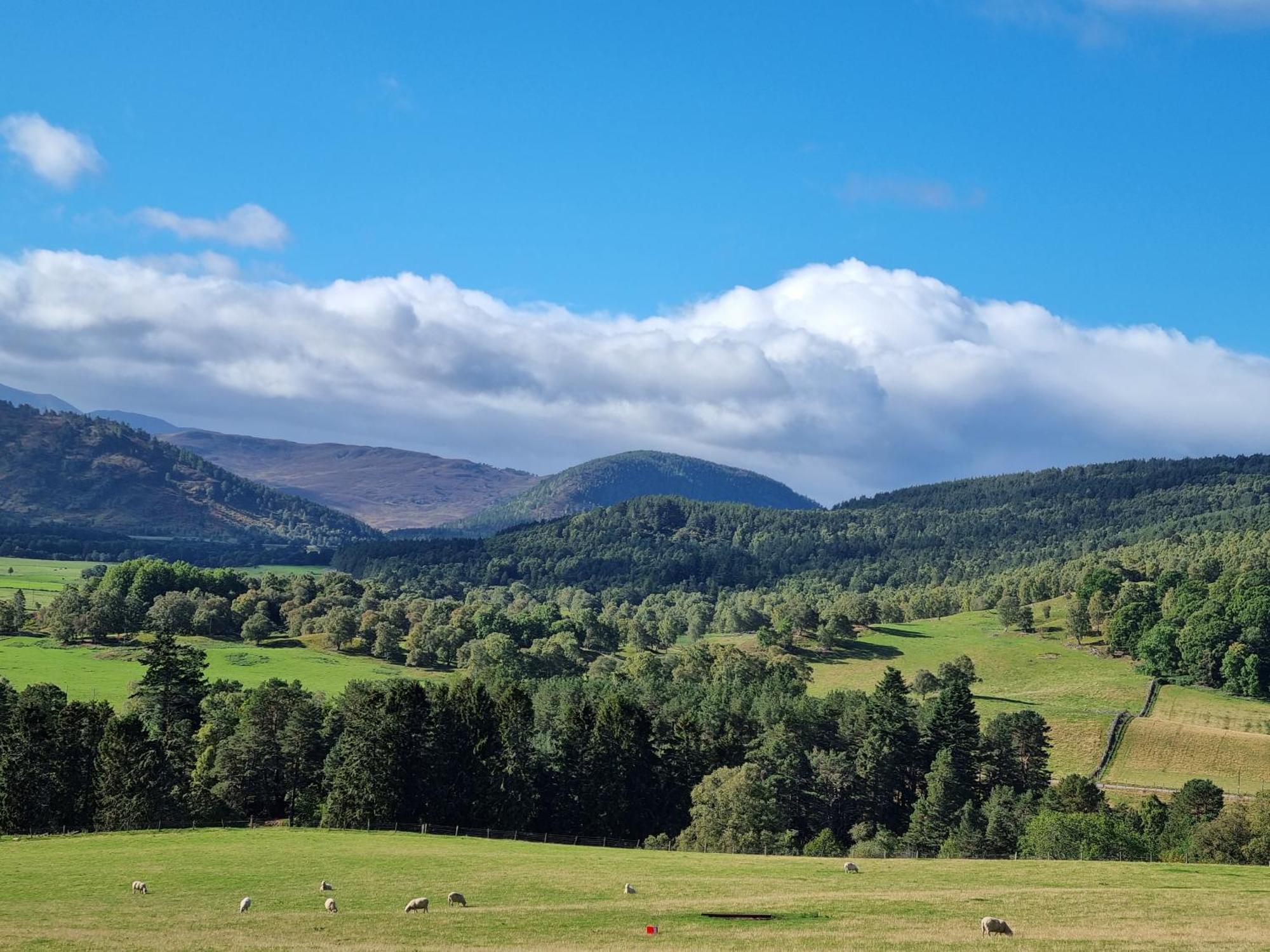 Craggan Bed and Breakfast Ballater Exteriör bild